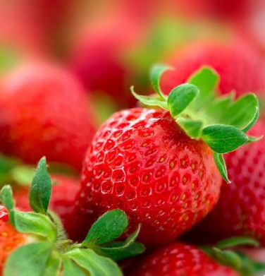 FRAISE ENTIERE IQF 1KG