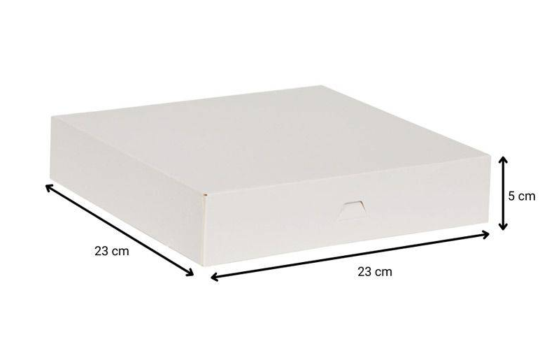 RAISING CANES BOX 23X23X5 CM 50 PCS